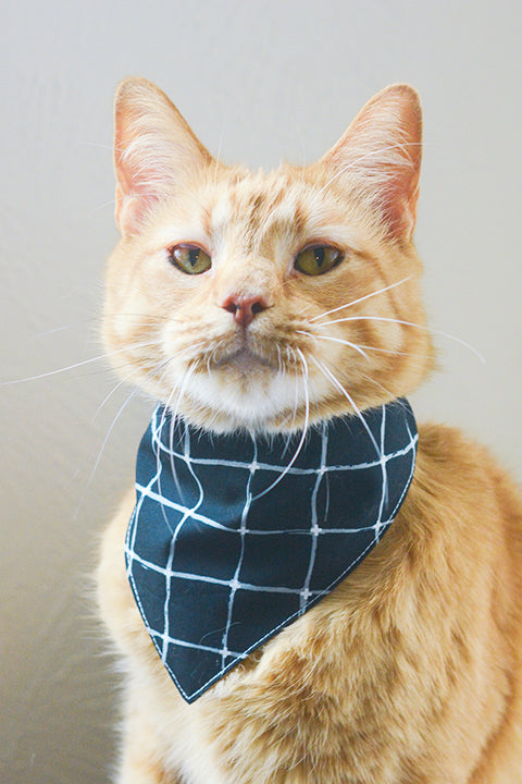 orange kitty cat shown wearing a pet bandana made from a black and white grid print