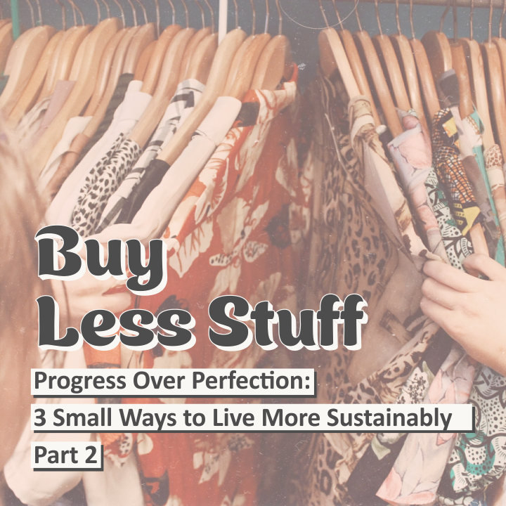 Progress Over Perfection: 3 Small Ways to Live More Sustainably, Part 2