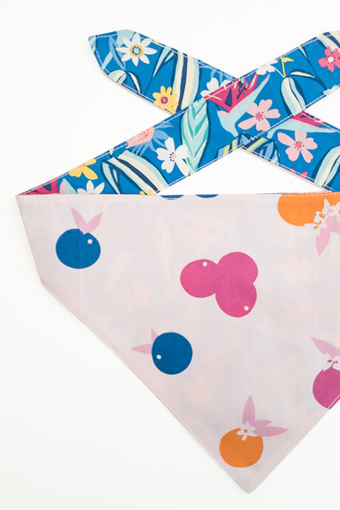 citrus and berry fruit print detailed view of berry tropical reversible pet bandana. print features blues, pinks, yellows, oranges and greens.