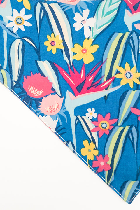tropical floral print zoomed in detail of berry tropical reversible pet bandana. print features blues, pinks, yellows, oranges and greens.