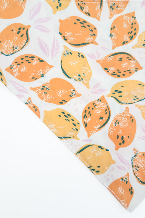 orange and yellow citrus print side zoomed in detail of make lemonade reversible pet bandana. prints feature lemon and oranges in shade of yellow, orange and pink.