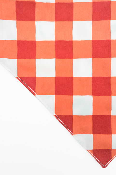 picnic plaid print side zoomed in detail of spring picnic reversible pet bandana. prints feature a colorful floral and red and cream buffalo plaid.