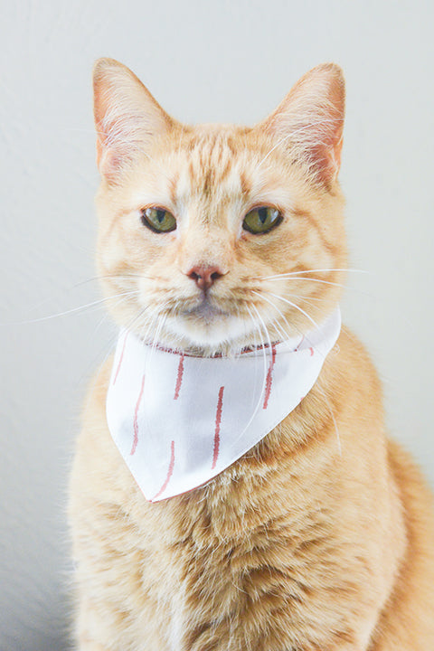 orange tabby cat wearing a size S premium cotton reversible bandana in a rust and off white boho stripe print