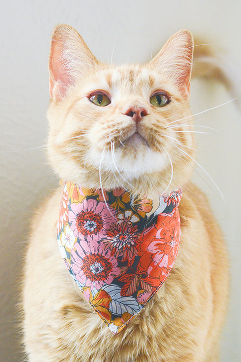 an orange tabby cat wearing a size S pet bandana made in a rustic blooms floral print